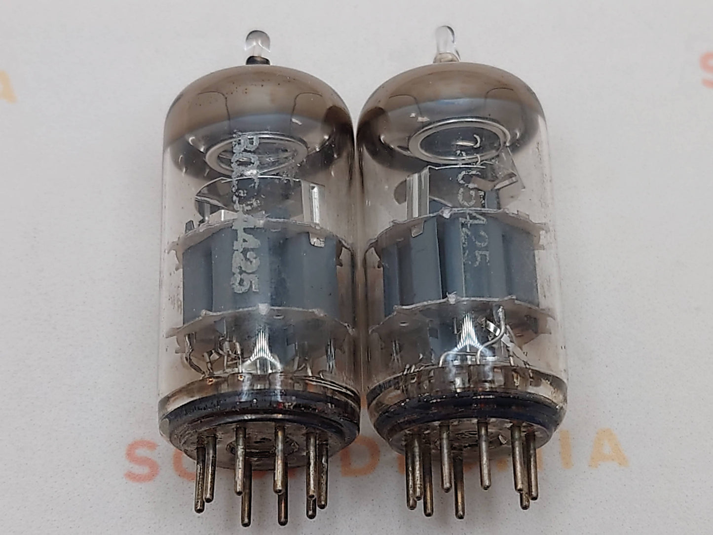 Telefunken PCC88 7DJ8 ◇ Fond