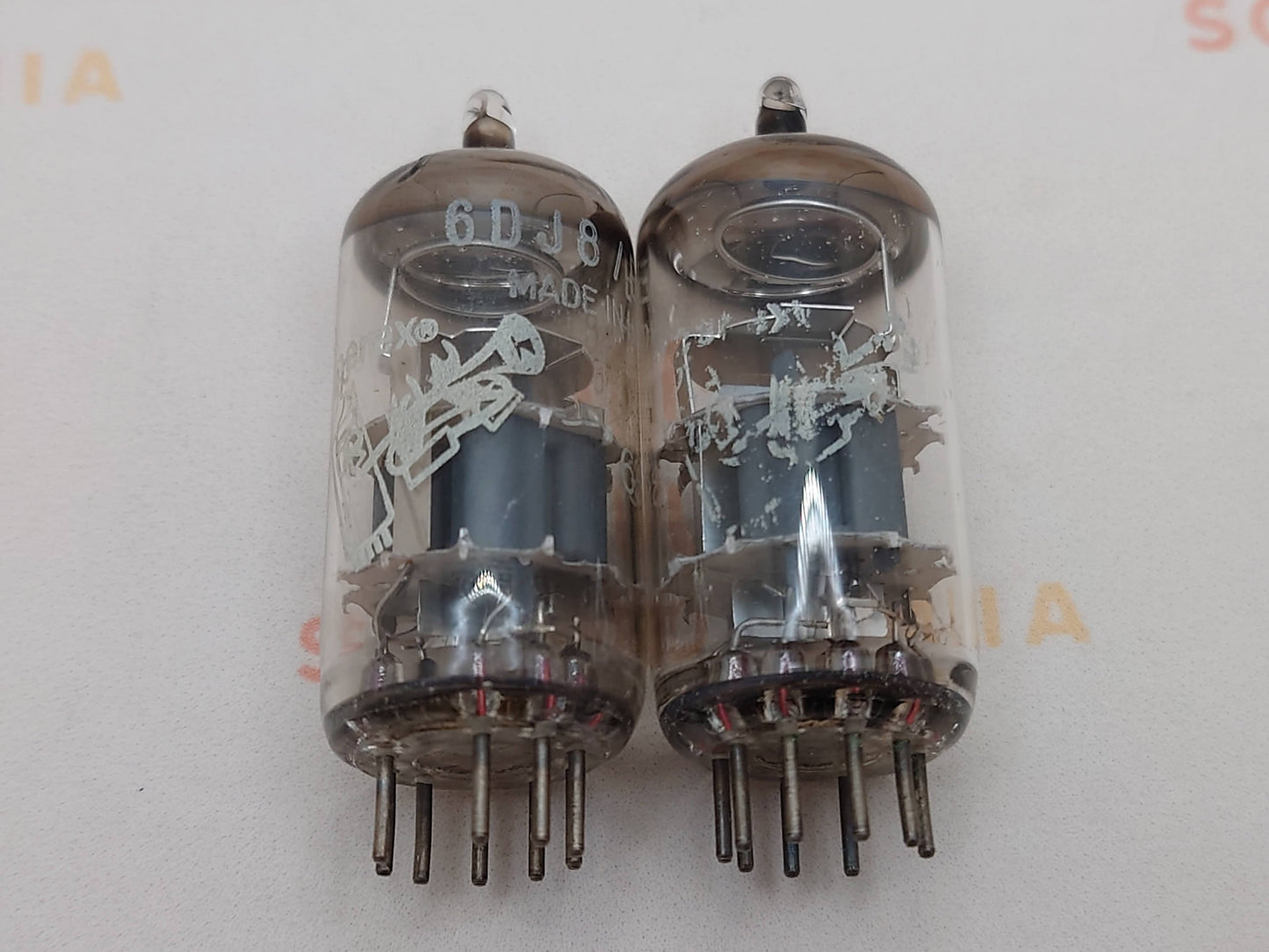 Amperex ECC88 6DJ8 Bugle Boy O-Getter - Heerlen