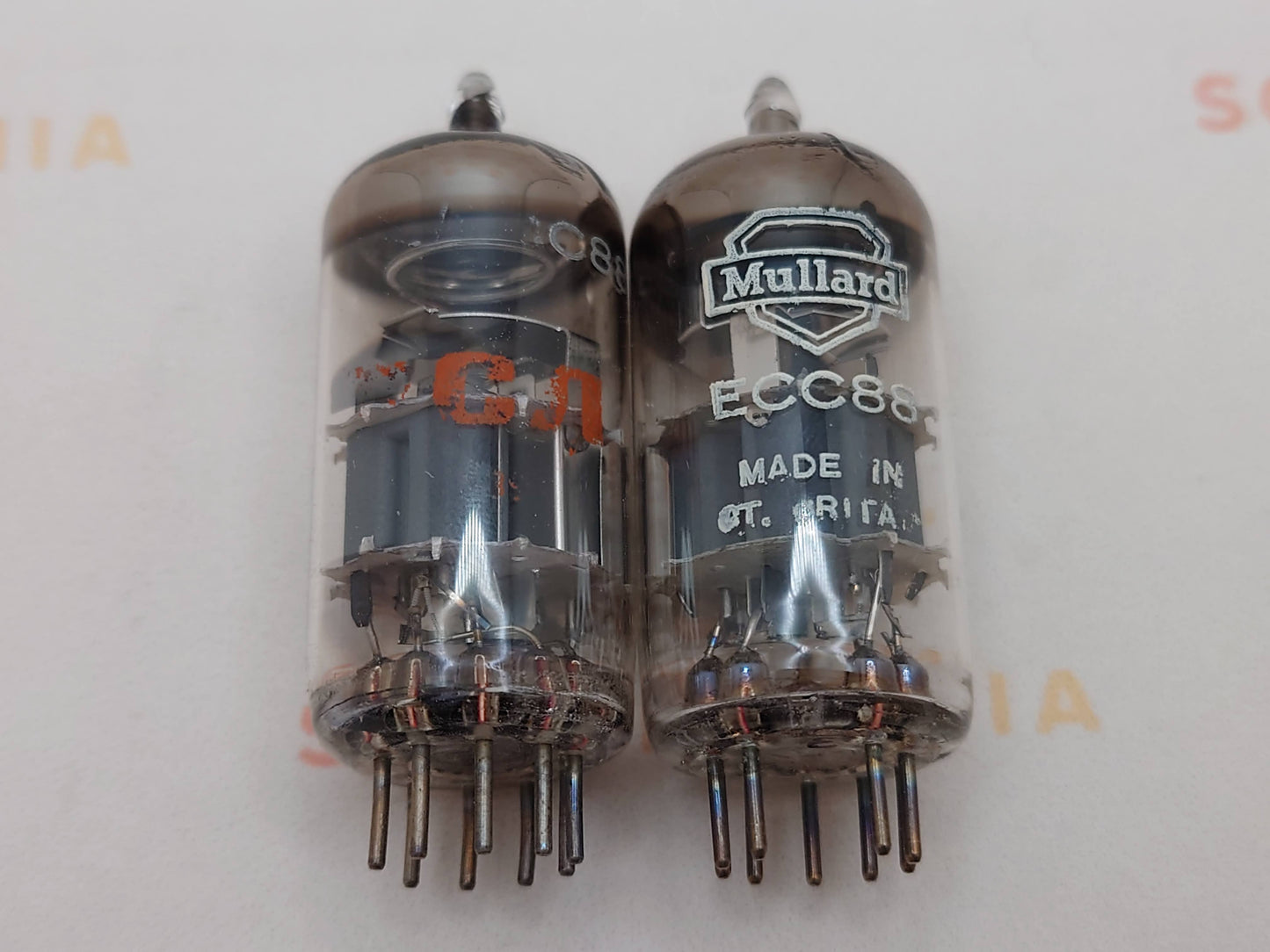 Mullard ECC88 6DJ8 O-getter - 布莱克本