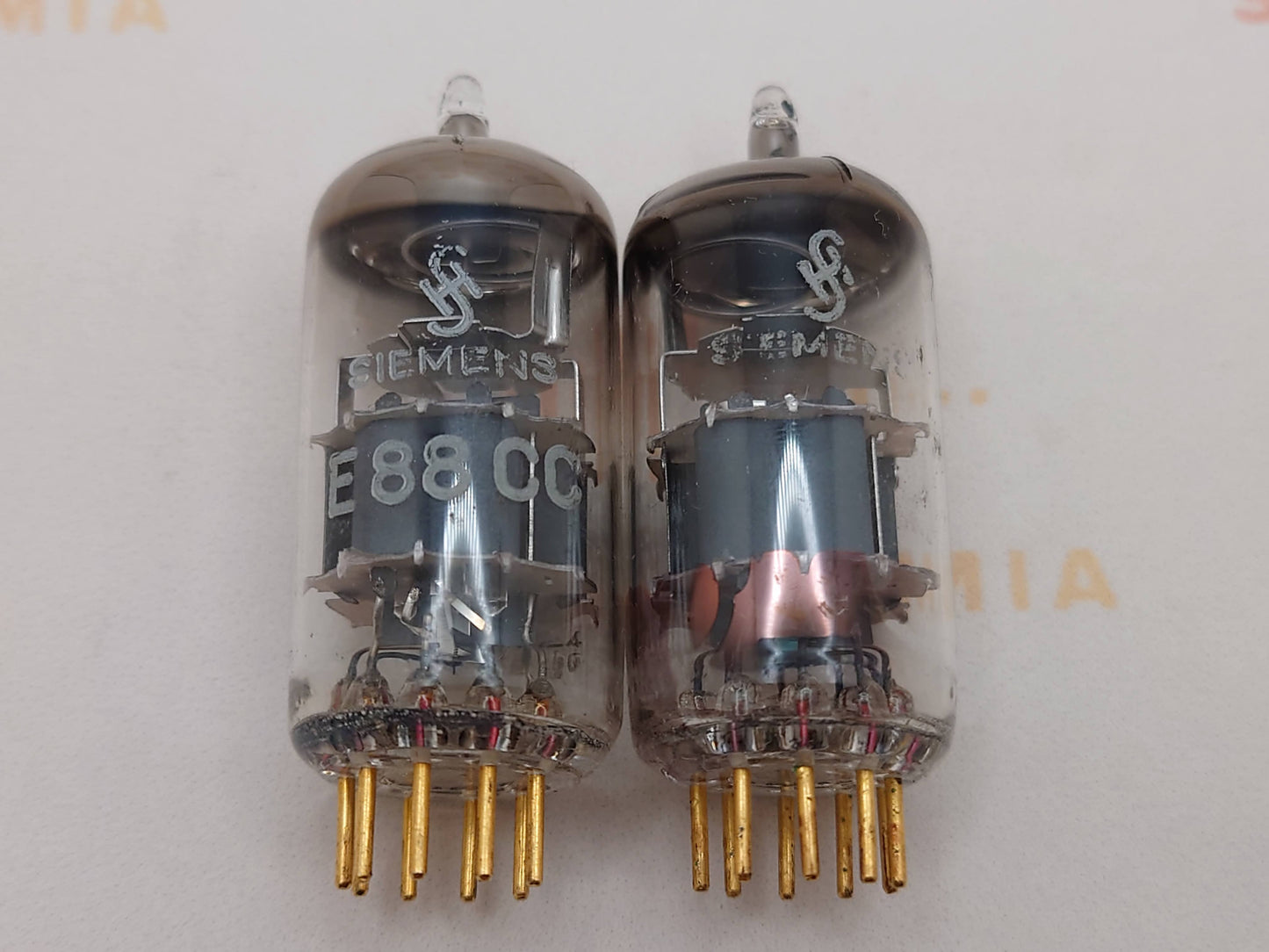 Siemens E88CC 6922 Graue Schilder 