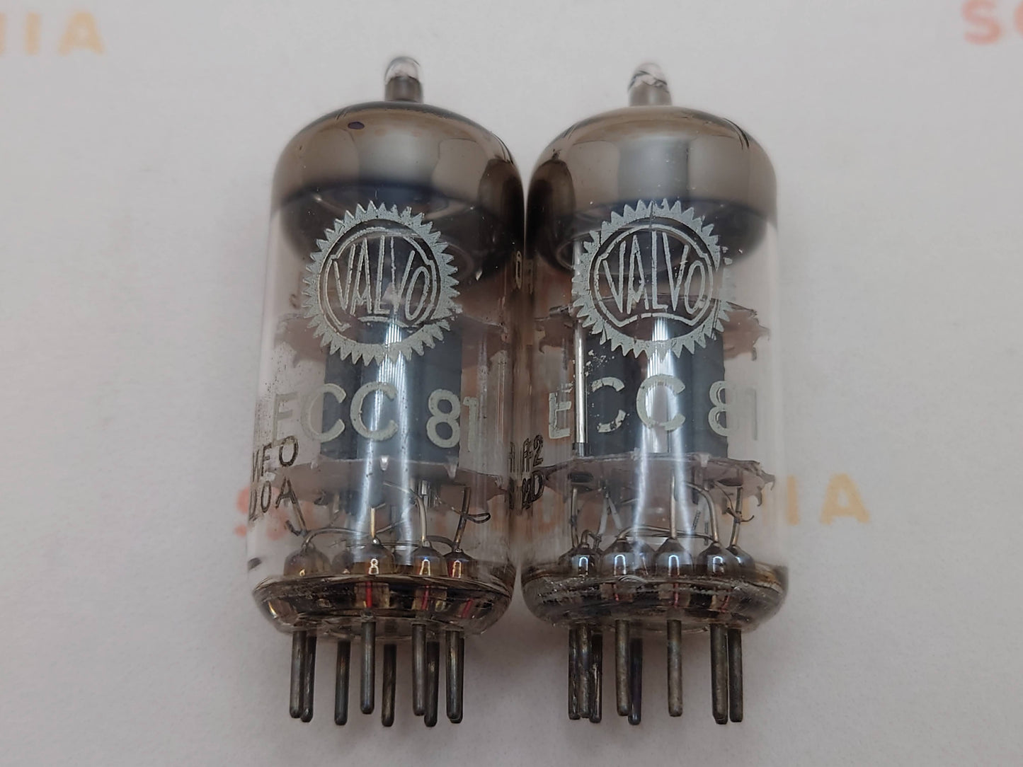 Valvo ECC81 12AT7 O-getter - Hamburg