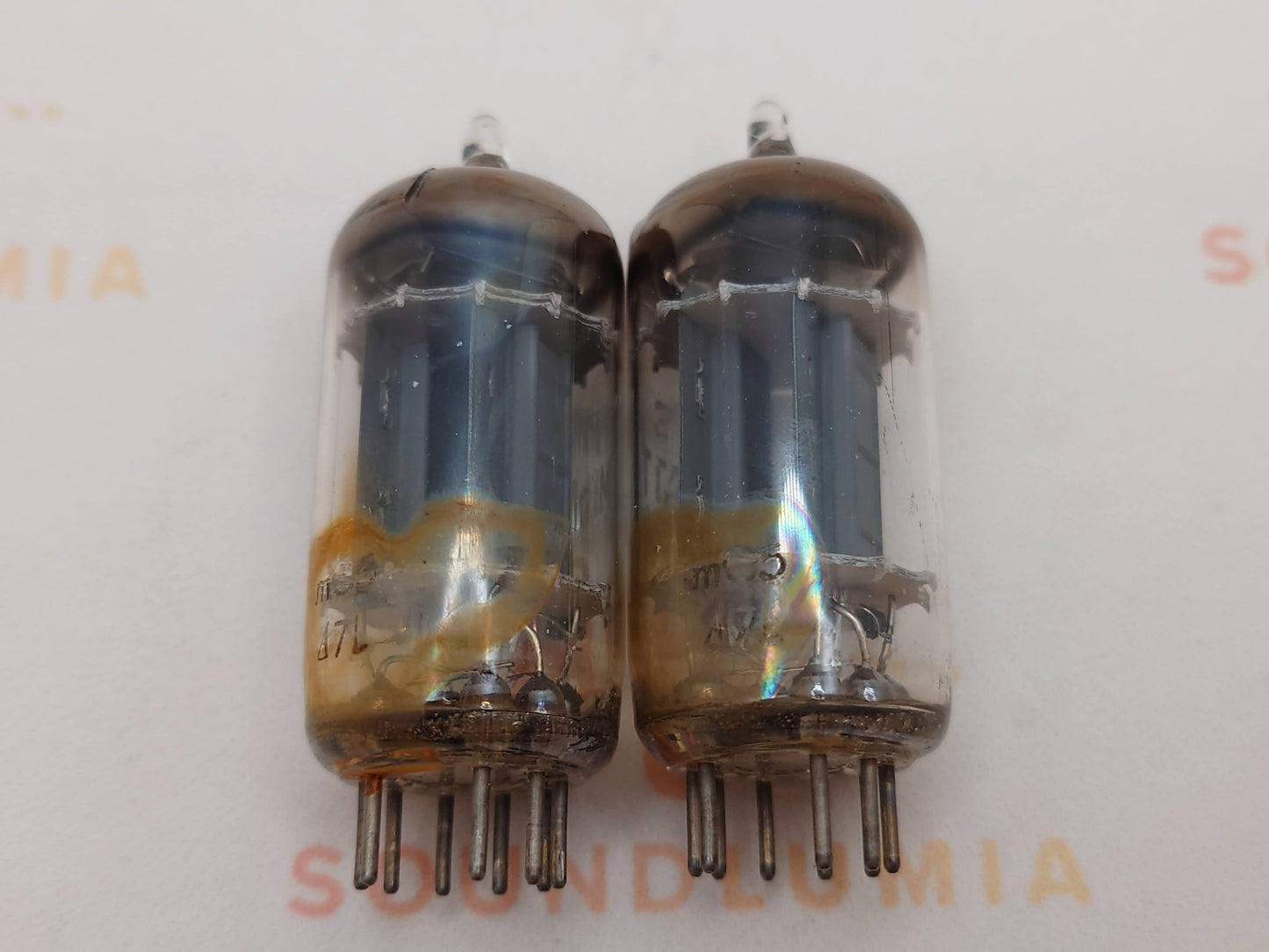 Philips ECC83 12AX7 长板箔 D 吸气剂 mC5 - Heerlen 