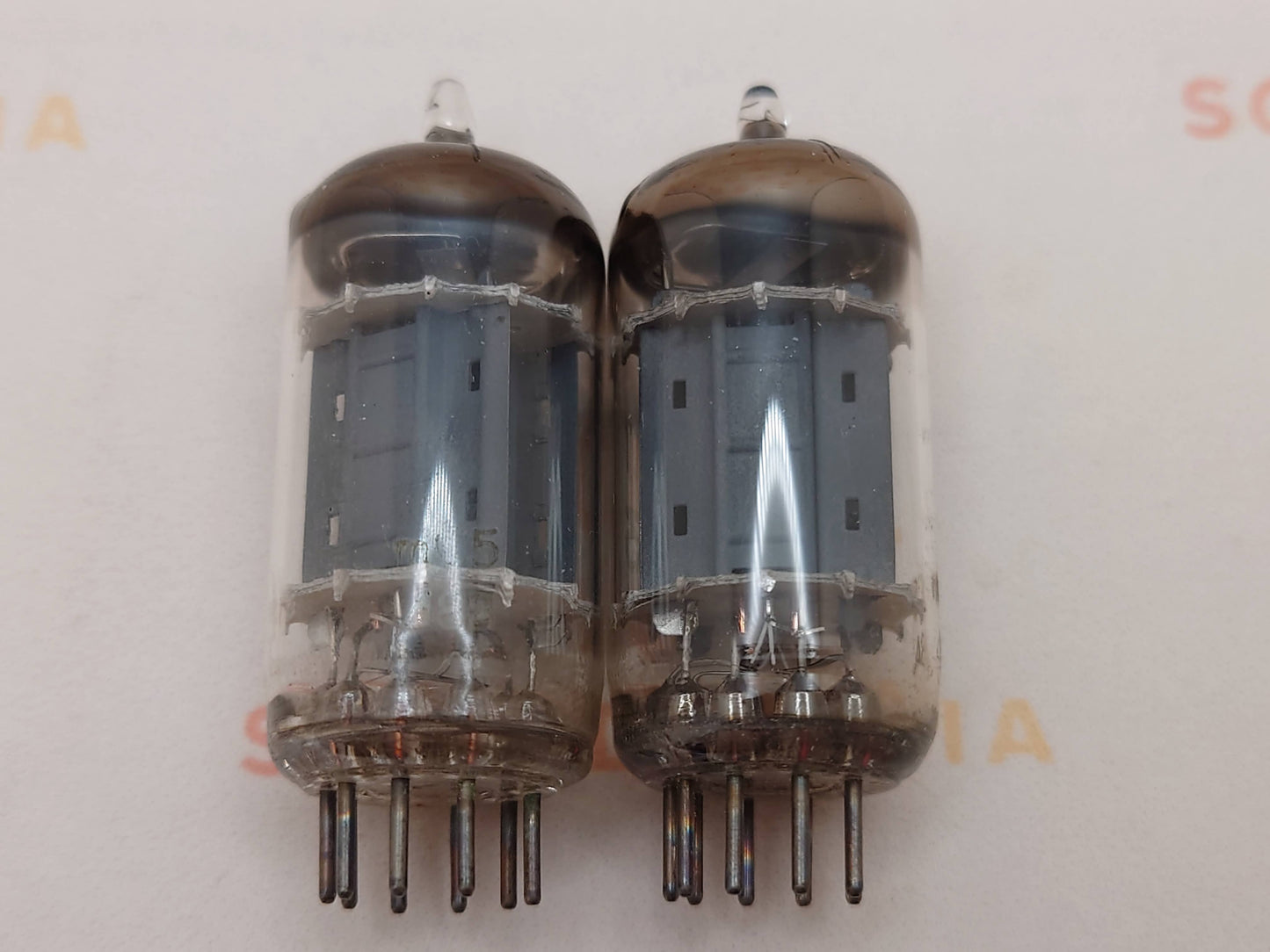 Philips ECC83 12AX7 长板箔 D 吸气剂 mC5 - Heerlen 