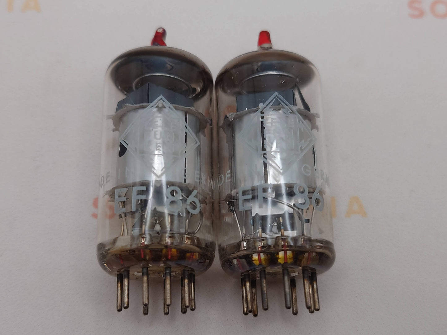 Telefunken EF86 6267 Silver Plates O-getter ◇ Bottom