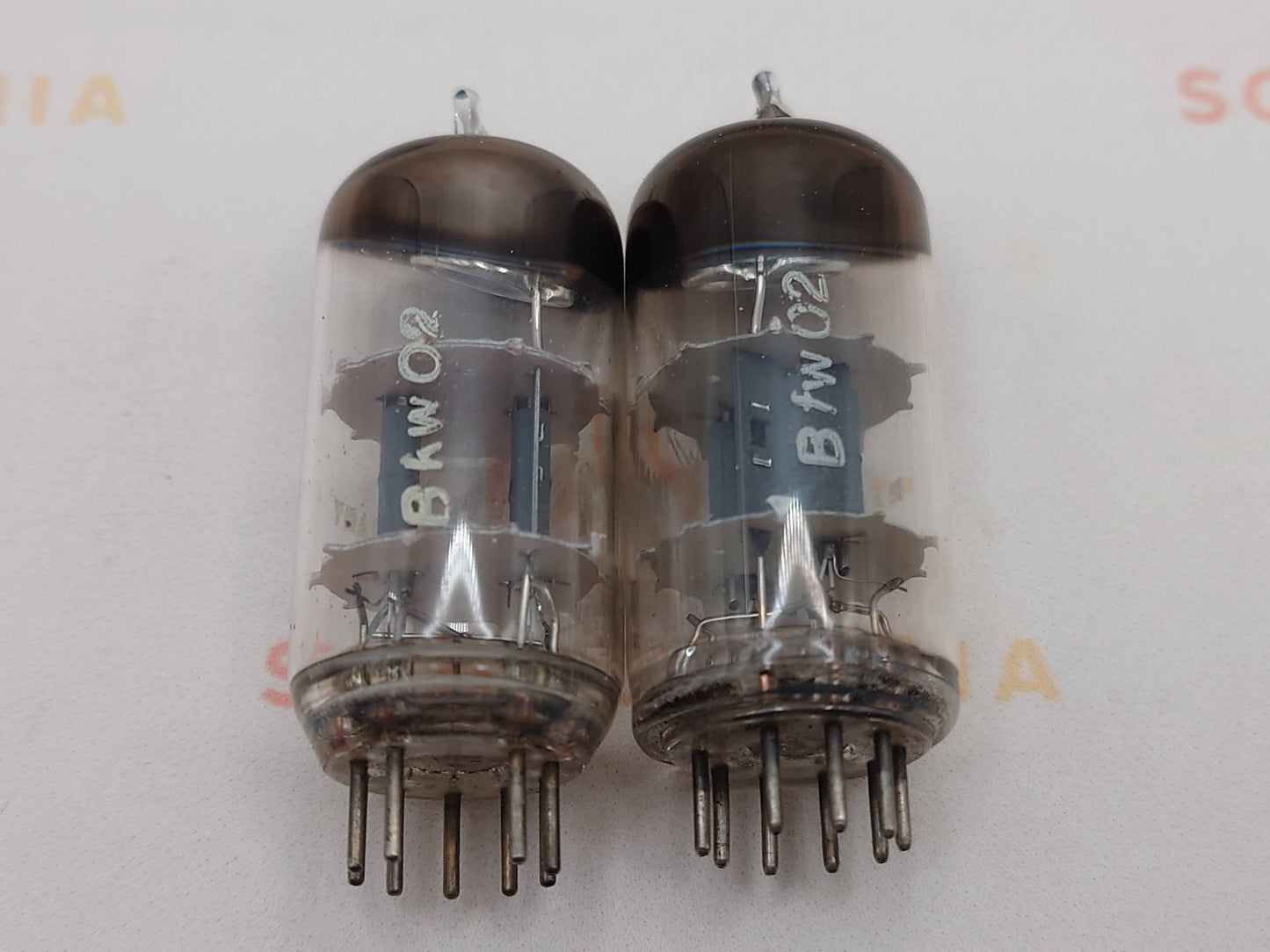 Telefunken ECC81 12AT7 O-getter ◇ Bottom – Berlin