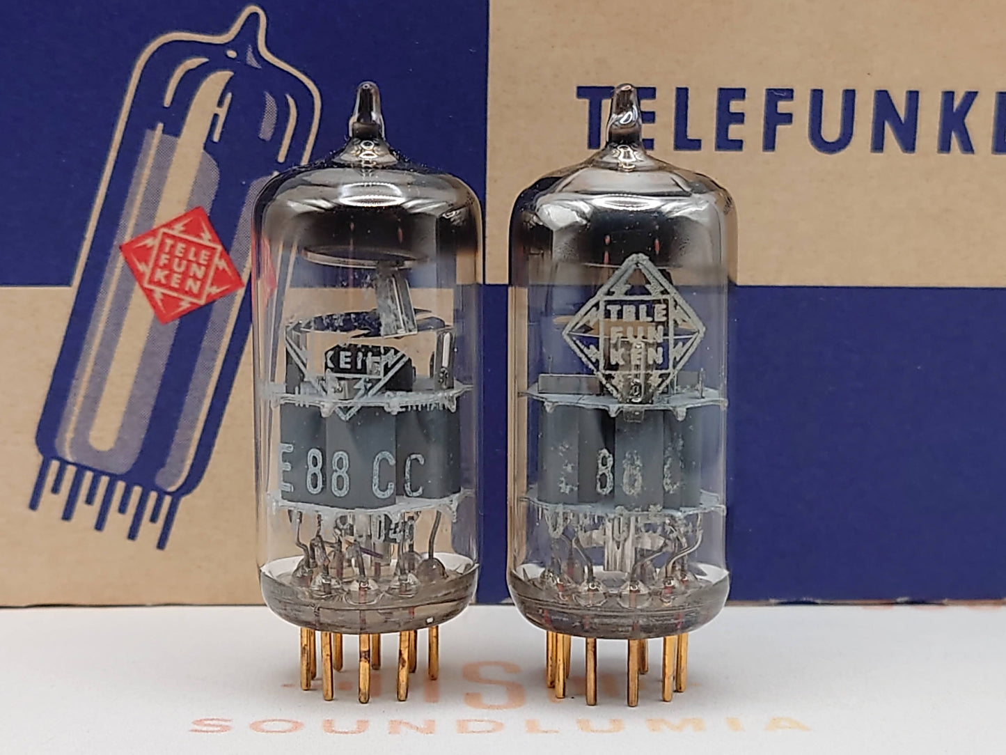 Telefunken E88CC 6922 ◇ Bottom