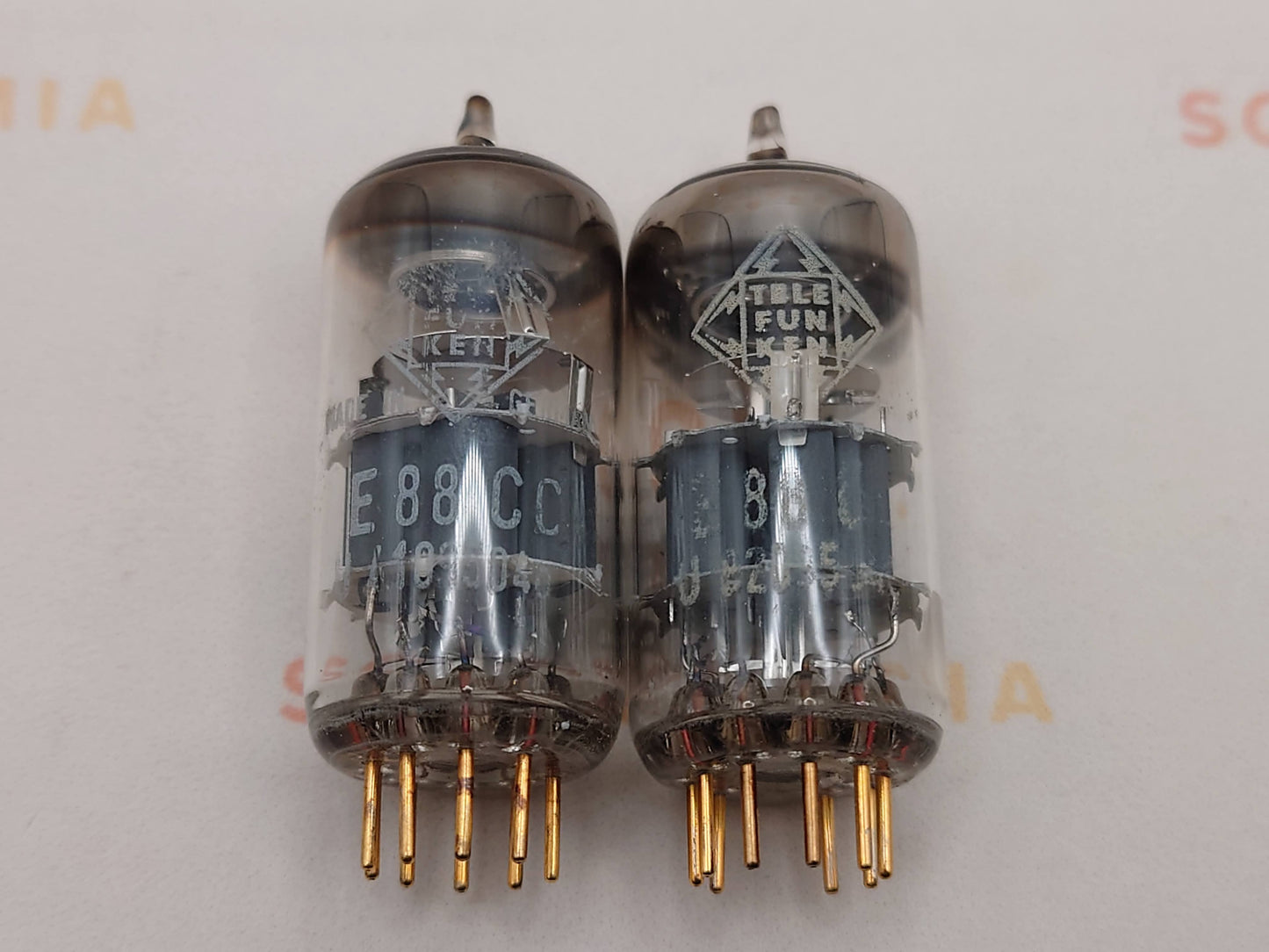 Telefunken E88CC 6922 ◇ Bottom