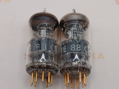 Telefunken E88CC 6922 ◇ Bottom