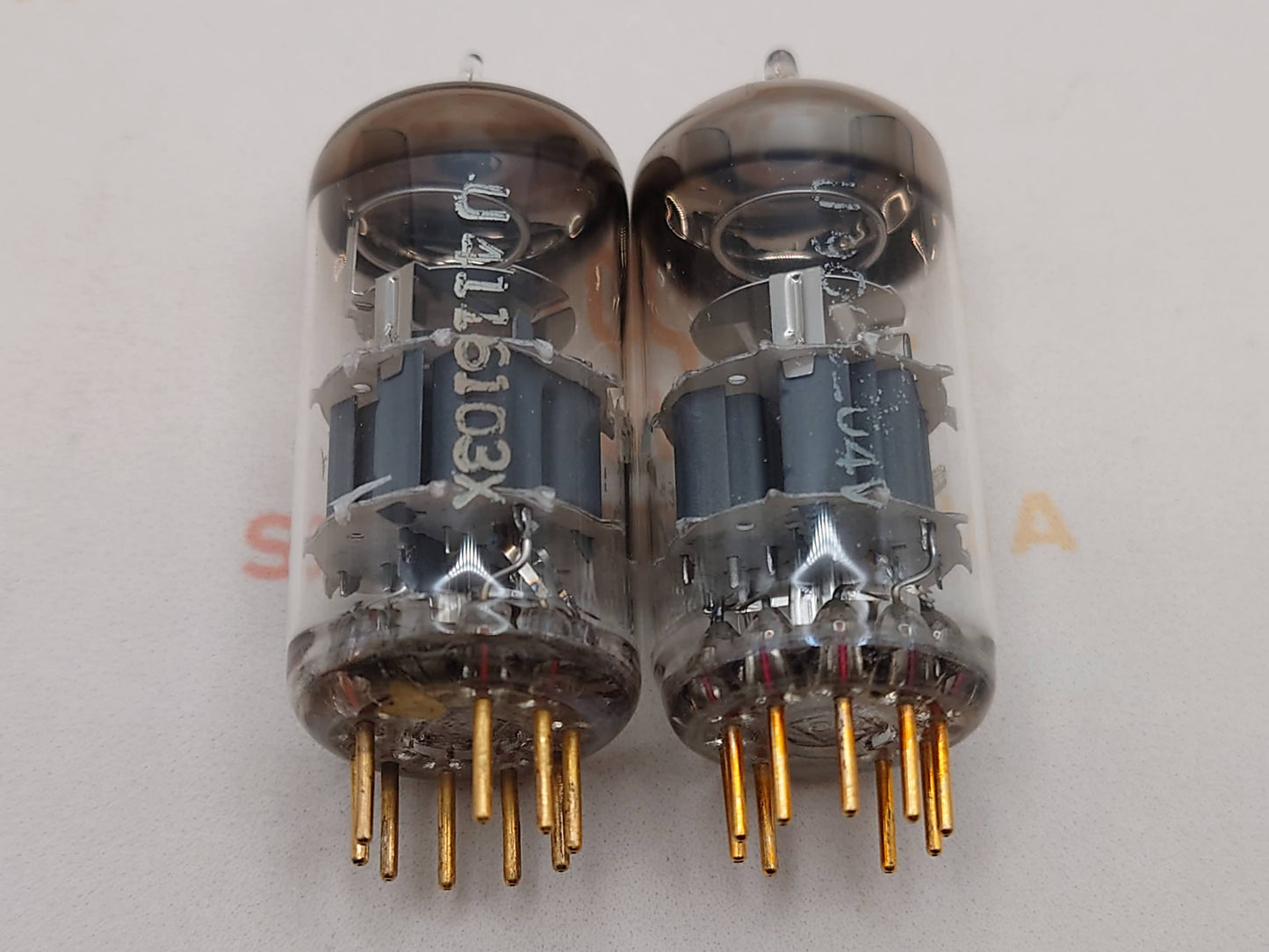 Telefunken E88CC 6922 ◇ Bottom