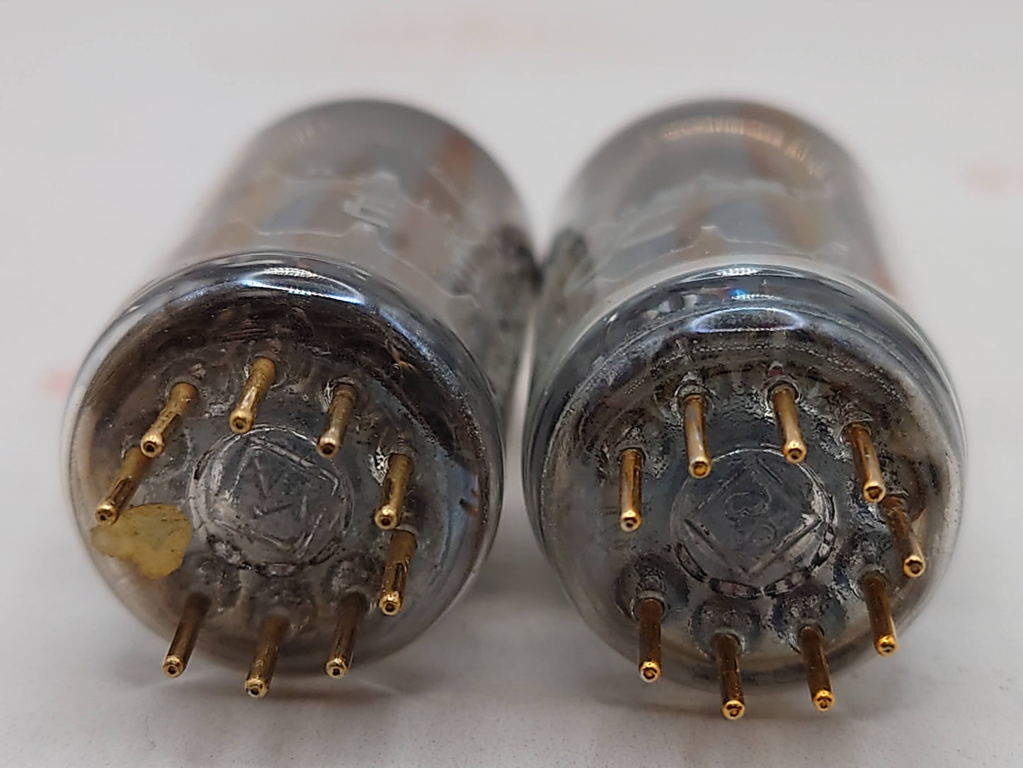 Telefunken E88CC 6922 ◇ Bottom