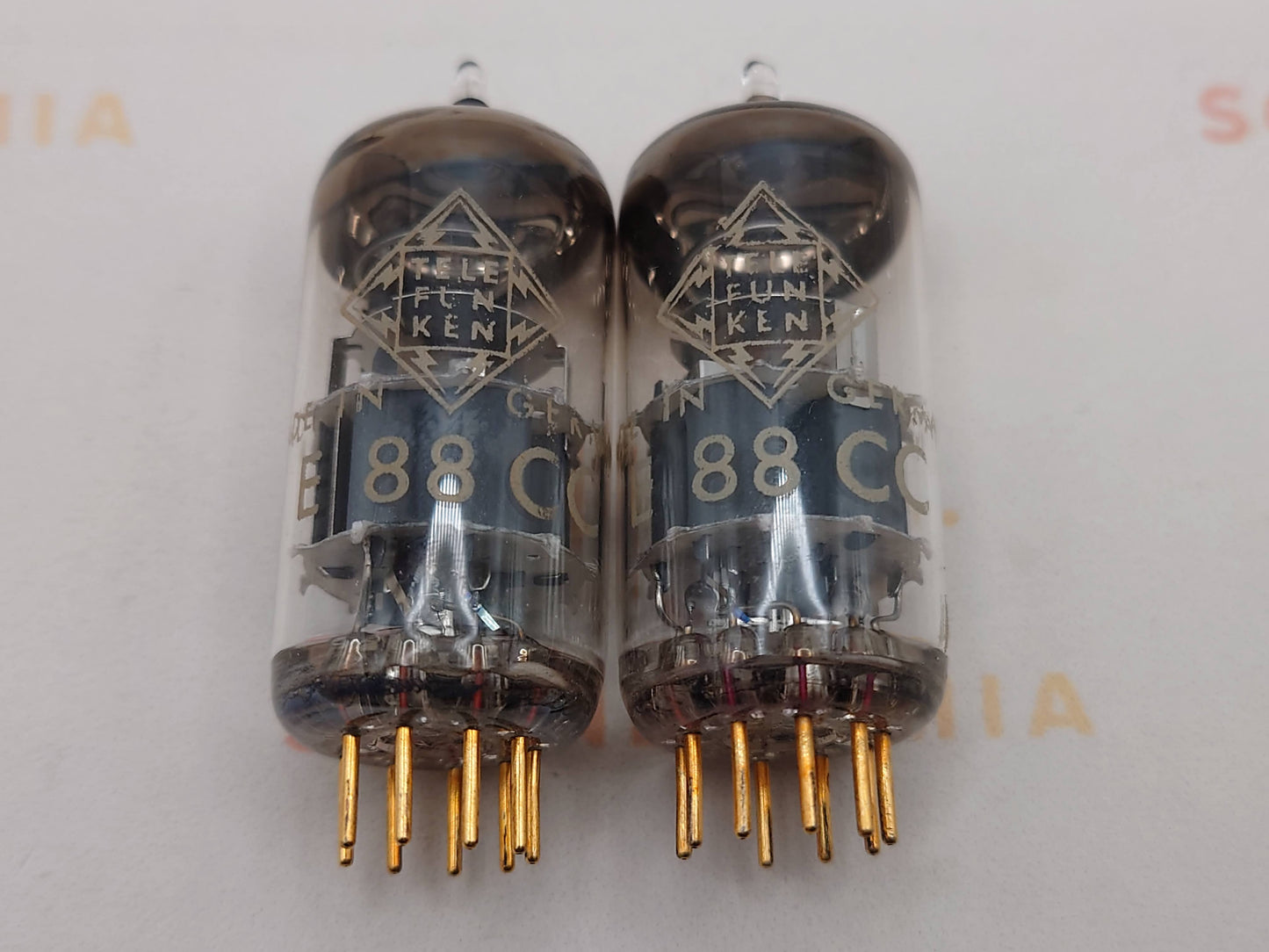 Telefunken E88CC 6922 ◇ Bottom