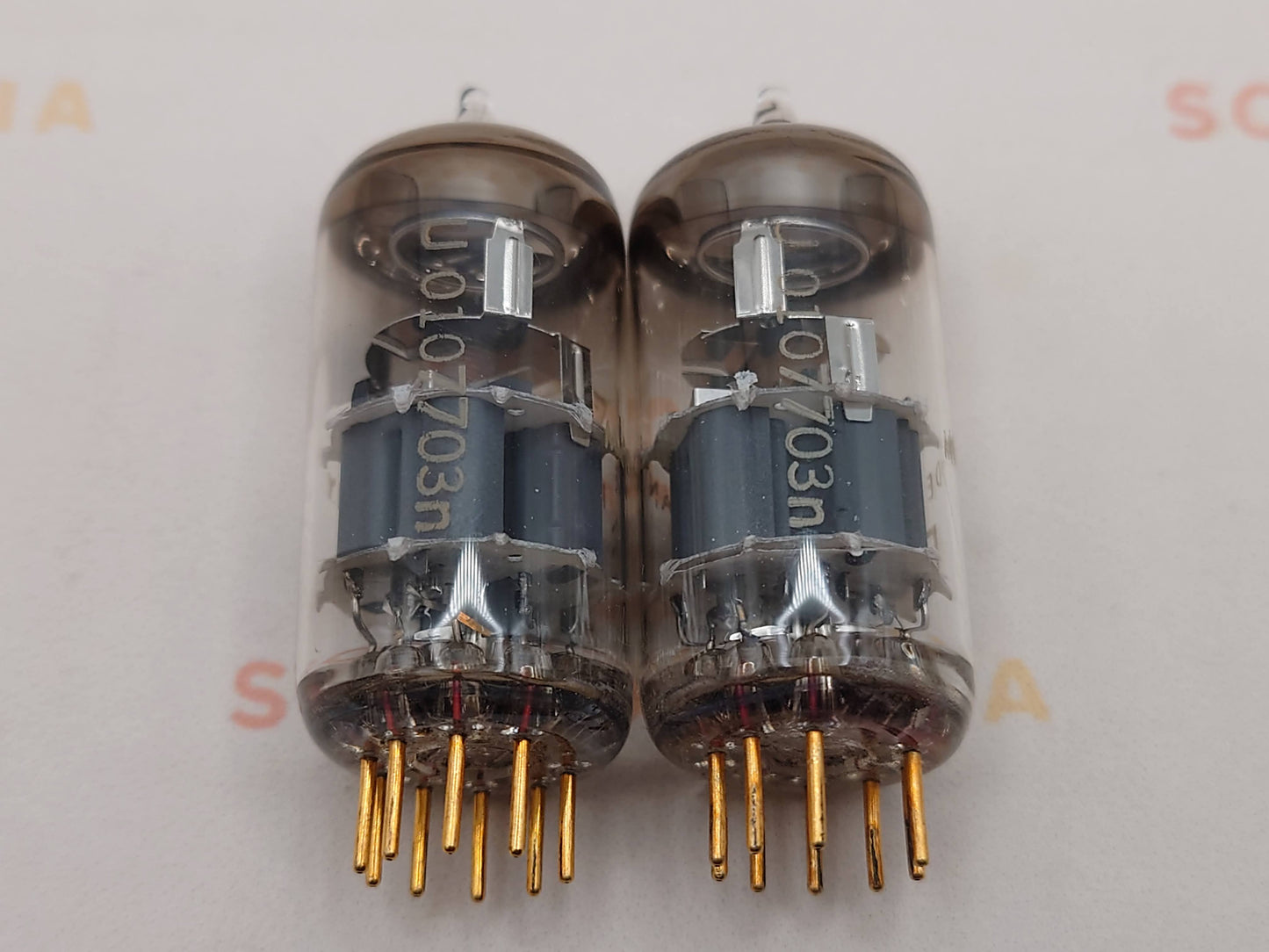 Telefunken E88CC 6922 ◇ Bottom