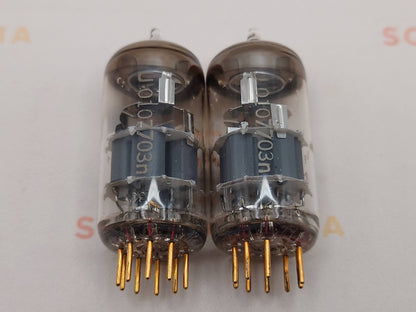 Telefunken E88CC 6922 ◇ Bottom