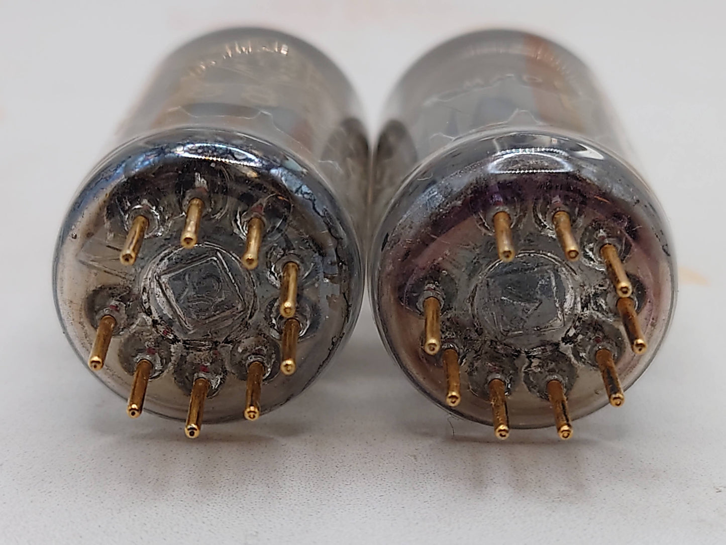 Telefunken E88CC 6922 ◇ Bottom