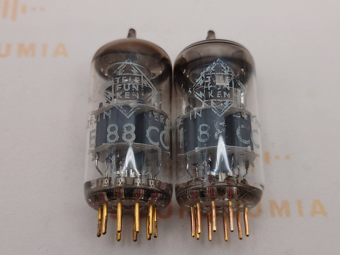 Telefunken E88CC 6922 ◇ Bottom
