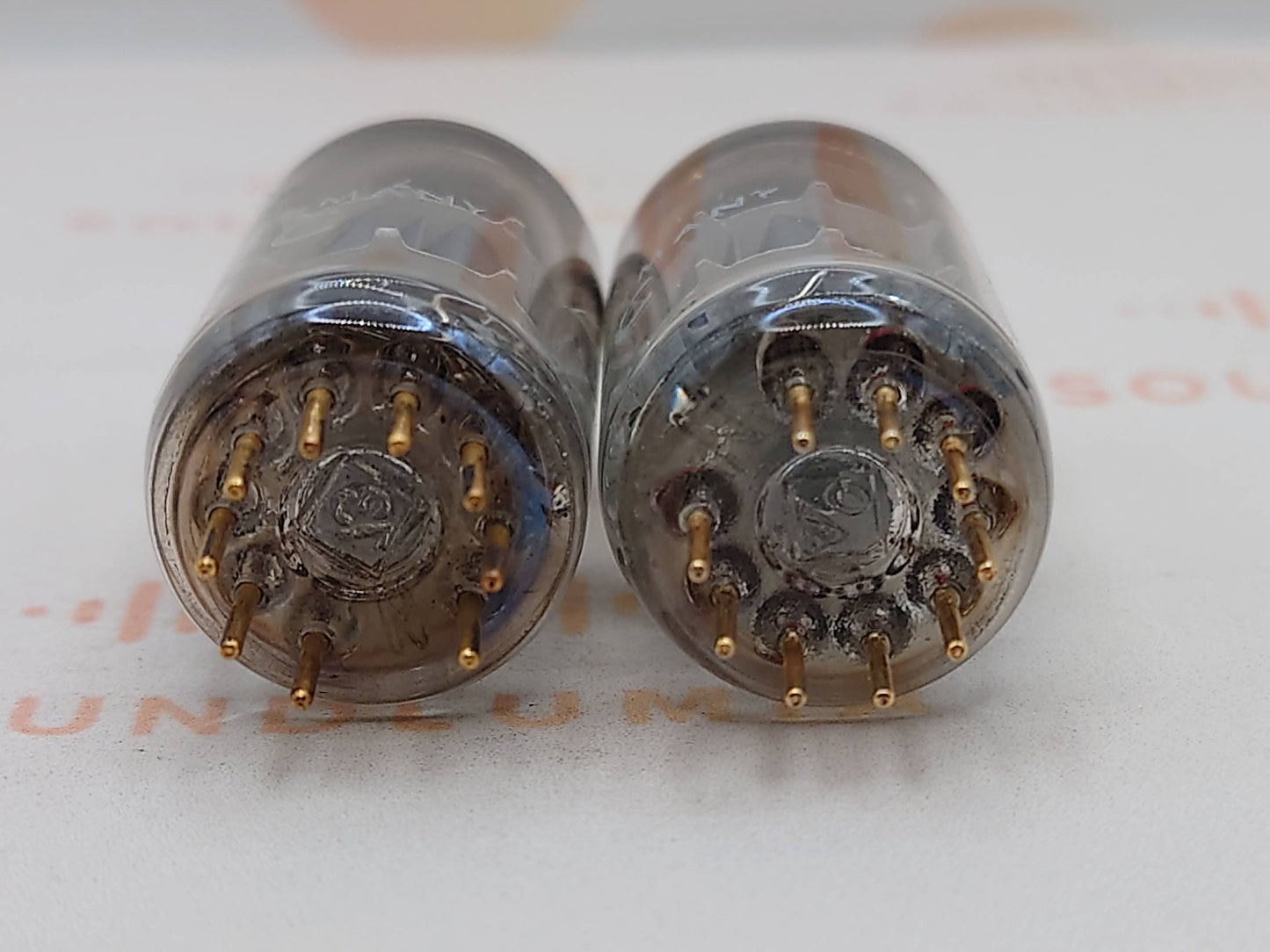 Telefunken E88CC 6922 ◇ Bottom