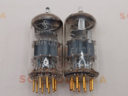 Siemens E88CC 6922 Gray Shields