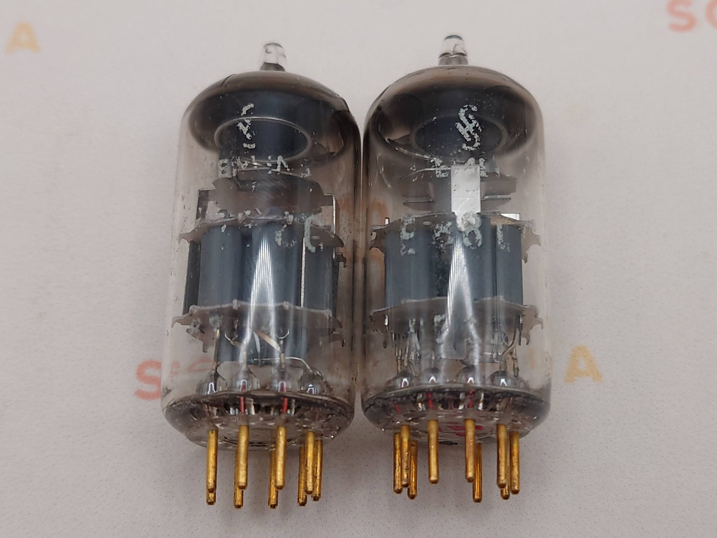 Siemens E88CC 6922 Gray Shields