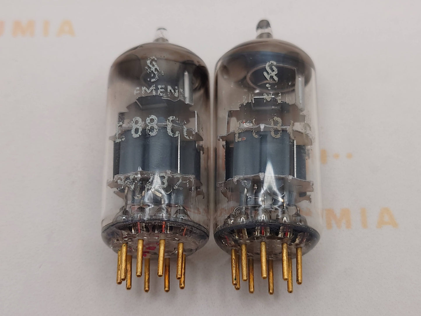 Siemens E88CC 6922 Gray Shields