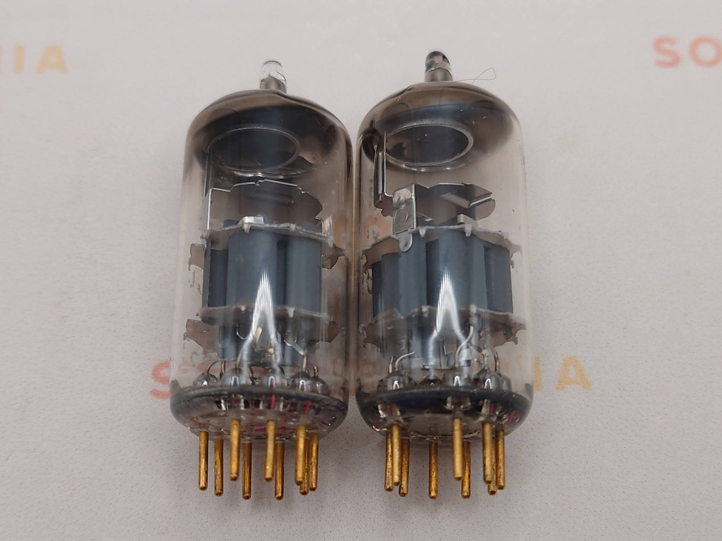 Siemens E88CC 6922 Gray Shields