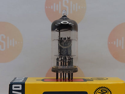 Valvo ECC81 D-Getter Coin Bottom