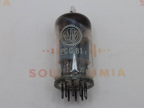 Valvo ECC81 12AT7 vacuum tube with D-Getter and Short Plates, image 17