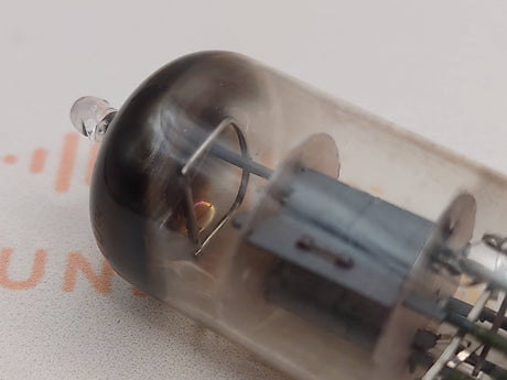 Valvo ECC81 12AT7 vacuum tube with D-Getter and Short Plates, image 20