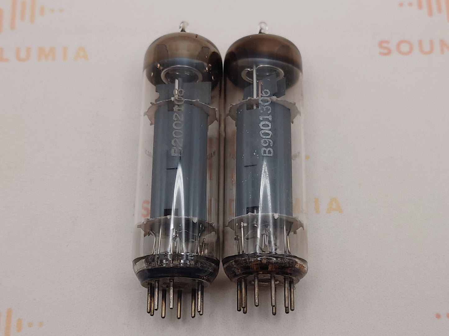 德律风根 EL84 6BQ5 ◇ 柏林底部