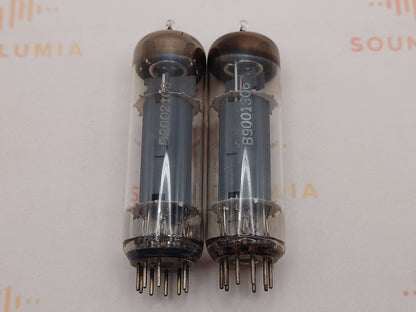 德律风根 EL84 6BQ5 ◇ 柏林底部