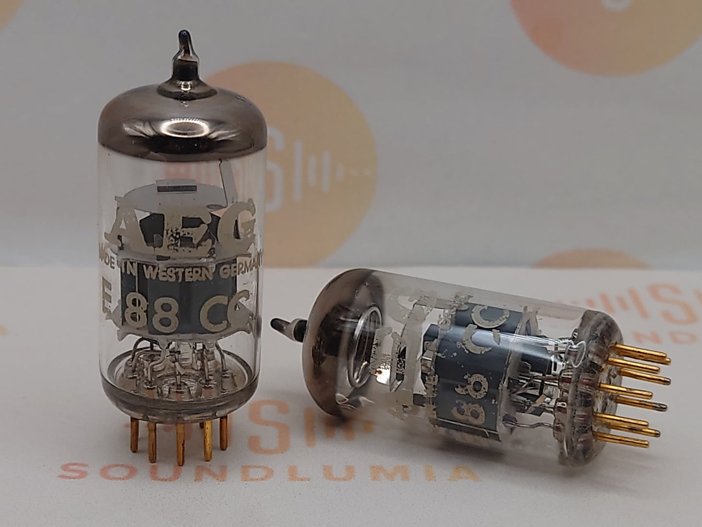 Telefunken E88CC 6922 ◇ Fond