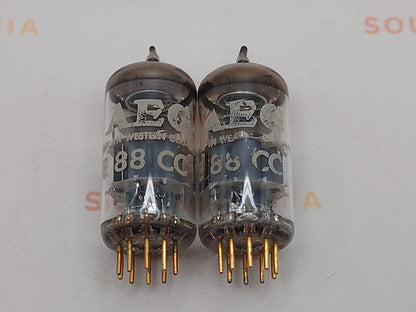 Telefunken E88CC 6922 ◇ Fond