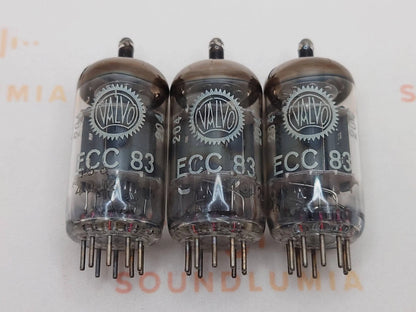 Valvo ECC83 12AX7 短板凹槽盘式吸气剂 - Heerlen 