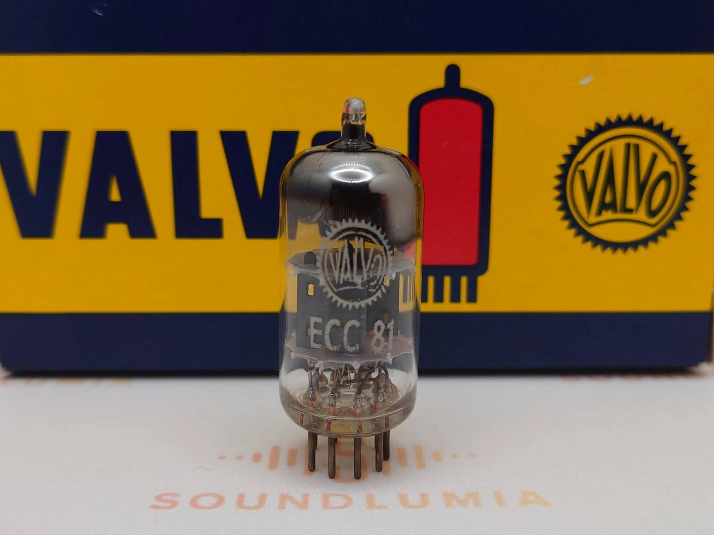 Valvo ECC81 12AT7 Quadratischer Getter - Hamburg
