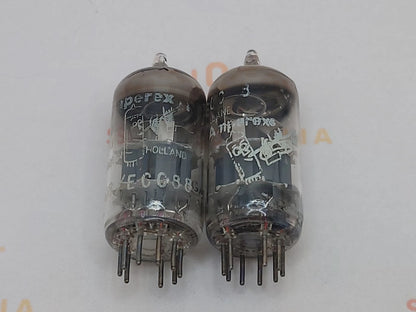 Amperex ECC88 6DJ8 Bugle Boy O-Getter - Heerlen