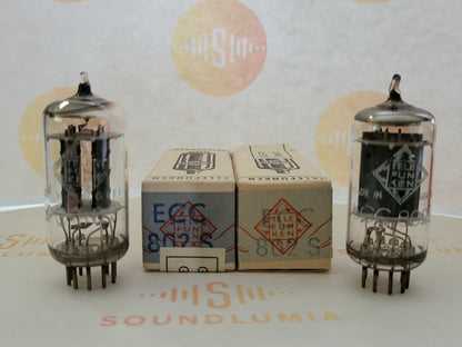 Telefunken ECC802S 6189 ◇ Bottom