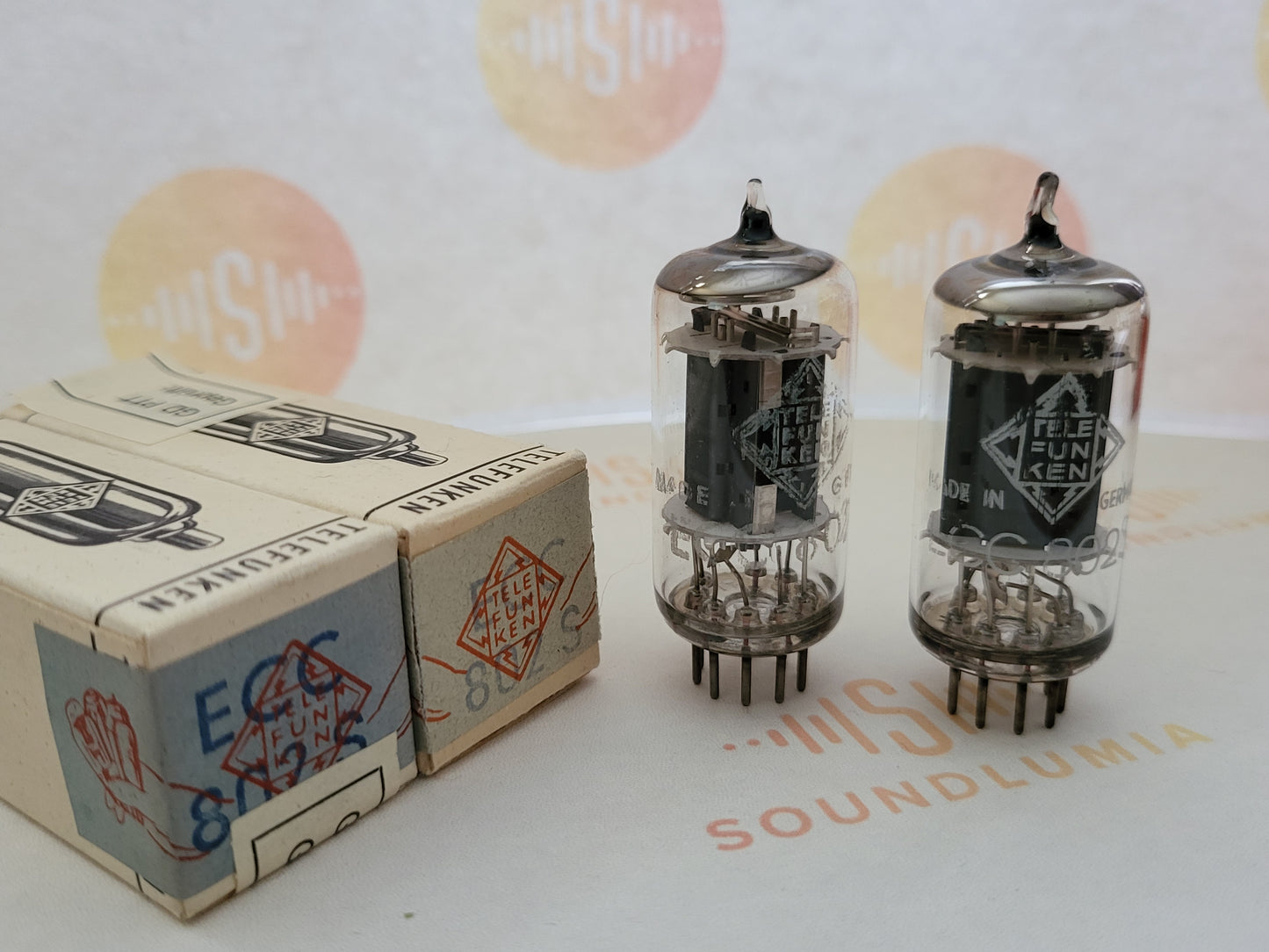 Telefunken ECC802S 6189 ◇ Bottom