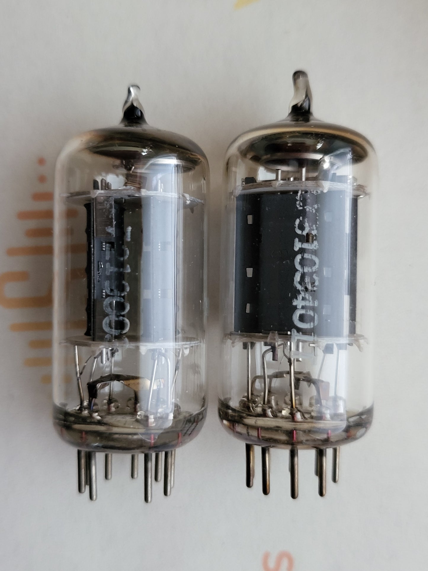Telefunken ECC802S 6189 ◇ Bottom