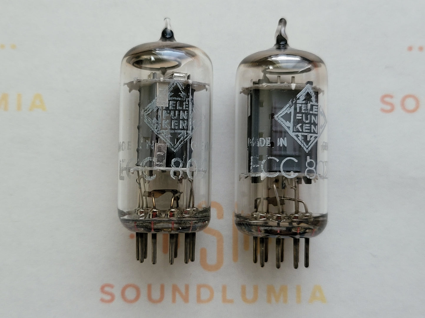 Telefunken ECC802S 6189 ◇ Bottom