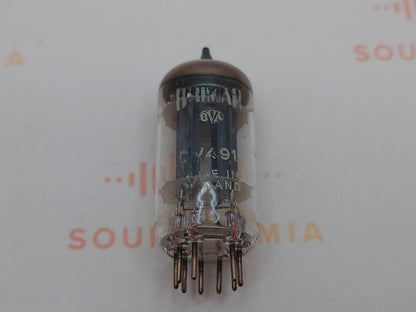 1 个 Brimar CV491 12AU7 长片 O 型吸油烟器 - 罗切斯特 1961