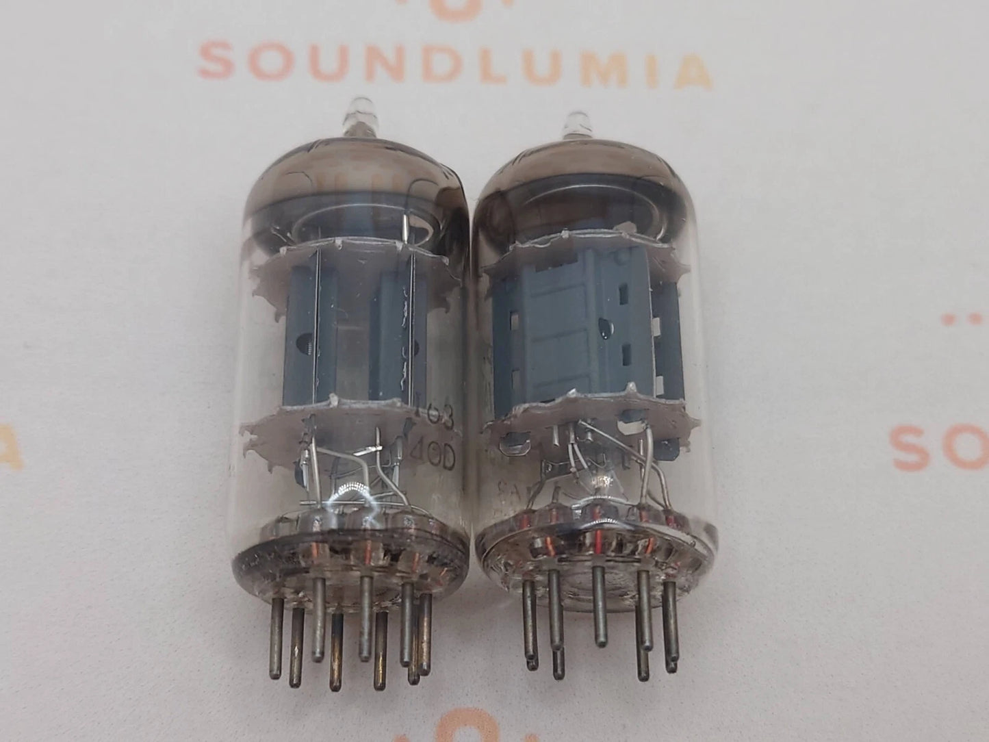 Philips ECC83 12AX7 Plaques courtes O-getter - Heerlen