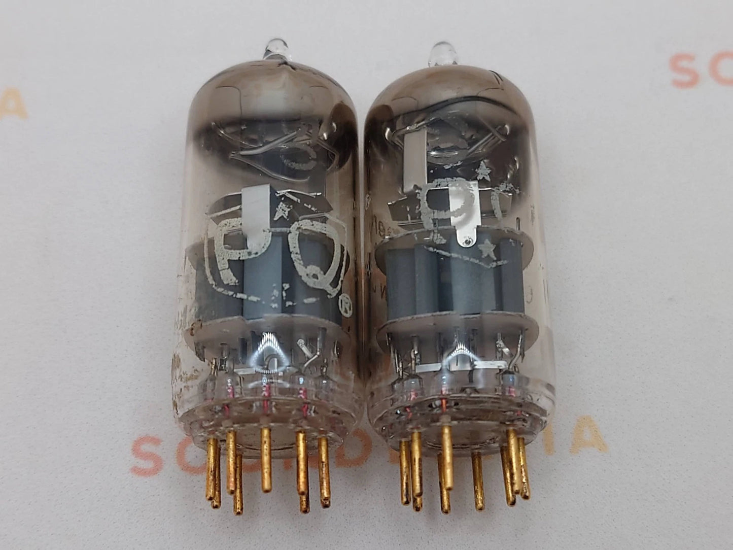 Amperex E88CC 6922 D 吸气剂 - 美国