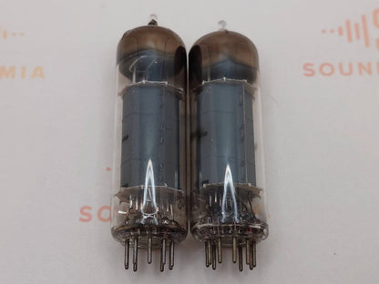 Amperex Holland/Philips EL84 D-Getter, Sittard