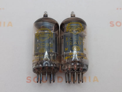 Mullard ECC82 12AU7 Short Plates Blackburn