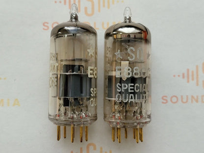 Philips SQ E88CC 6922 D-getter - Holland