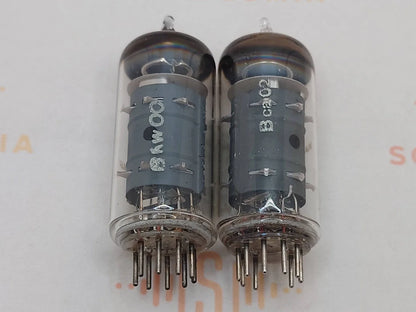 Telefunken EF804 Gray Plates O-getter ◇ Bottom