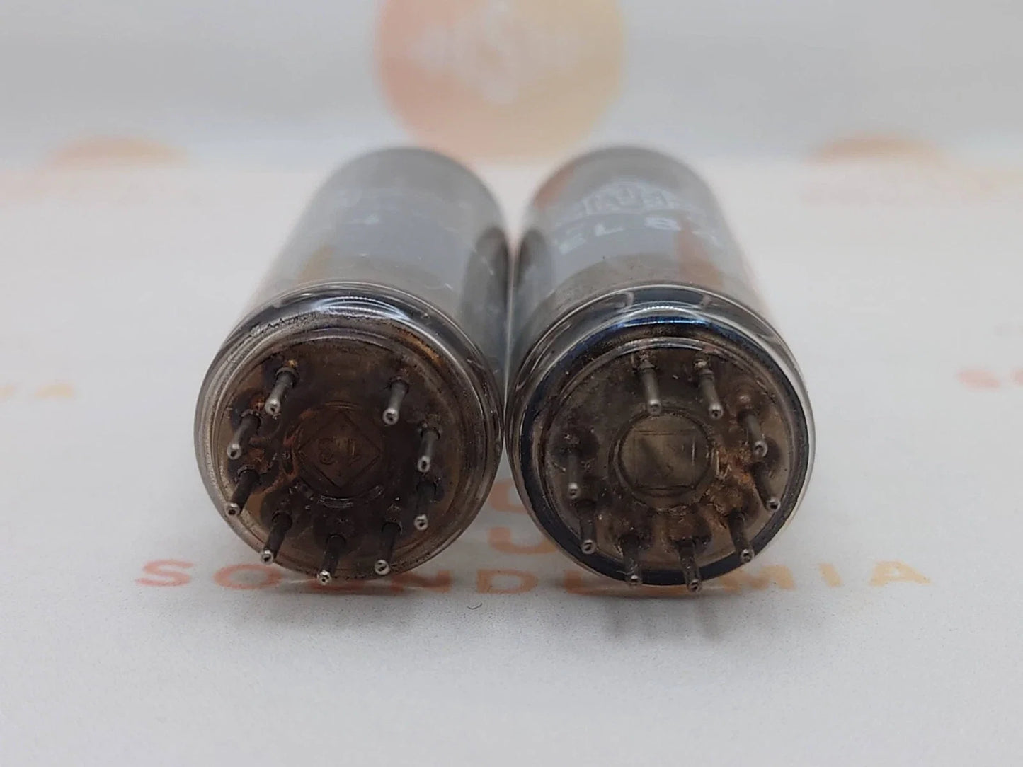 Telefunken EL84 6BQ5 ◇ Bottom - Berlin