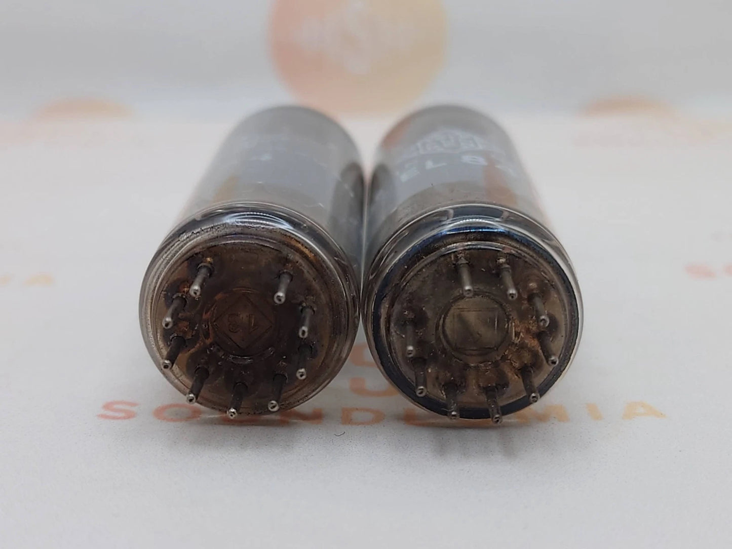 Telefunken EL84 6BQ5 ◇ Unten