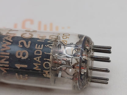 1x Philips E182CC D-Getter 4 Flügel Eingezogene Taille - Heerlen 1959 - NOS