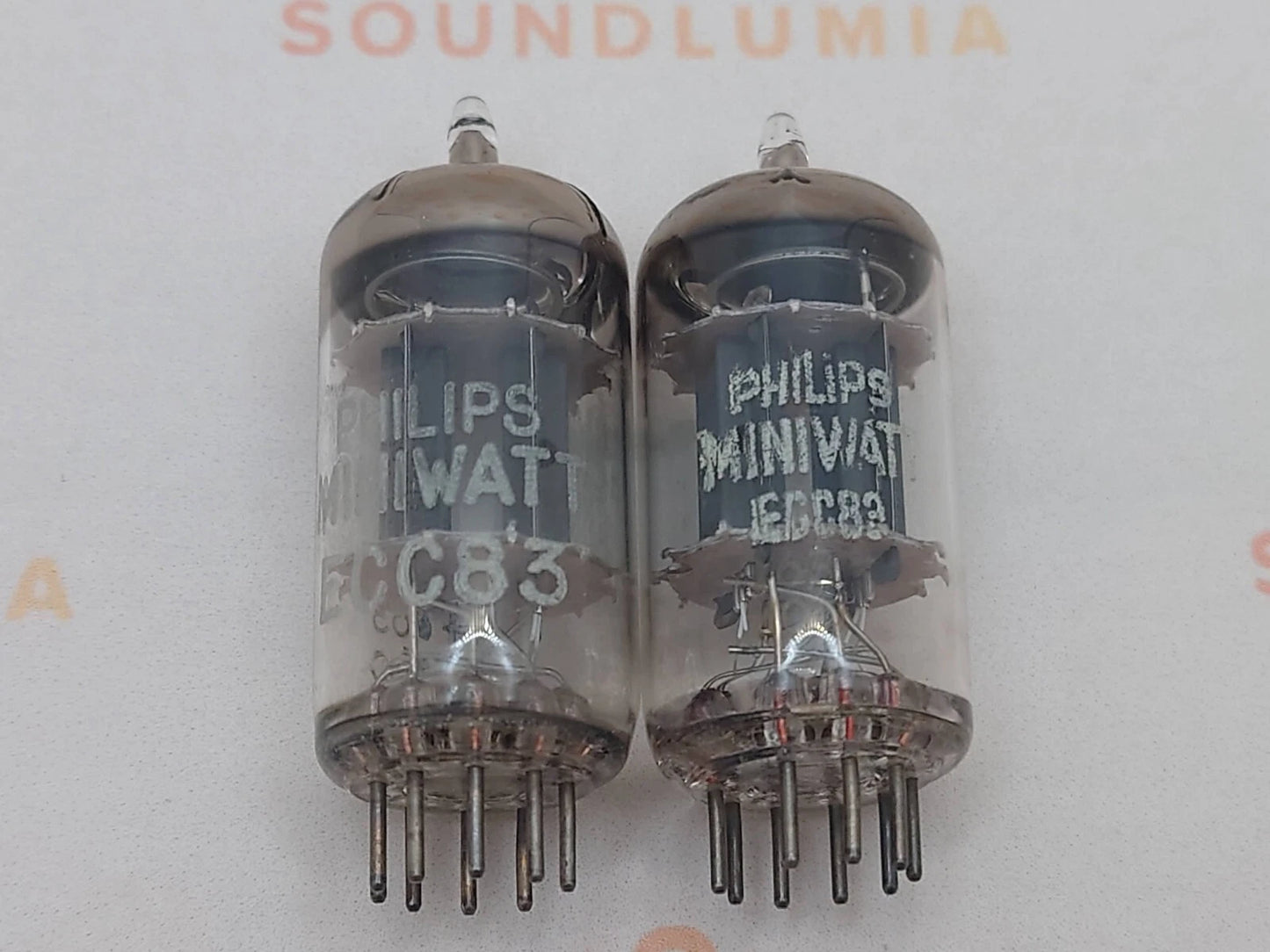 Philips ECC83 12AX7 Plaques courtes O-getter - Heerlen