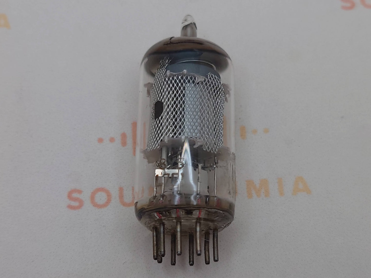 1 个 Mazda EF86 6267 网状吸油板 - Mullard 标签 - 布鲁塞尔 1967 年 - 全新库存+
